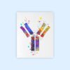 Dignovel Studios Unframed Antibody Symbol Medical Science Art immunology Illustration Watercolor Art Print Wall Art Poster Home Decor Hanging DN844 - Image 2