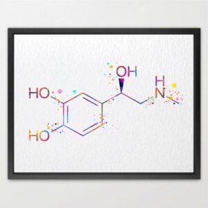 Dignovel Studios Unframed Adrenaline Molecule Symbol Chemical Science Hormone Biology Medical Art Watercolor Art Print Wall Art Poster Home Decor Hanging DN847