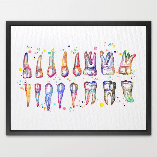 Dignovel Studios Unframed Tooth Chart Illustration Dentist Office Dental Watercolor Art Print Wall Art Poster Home Decor Hanging DN858