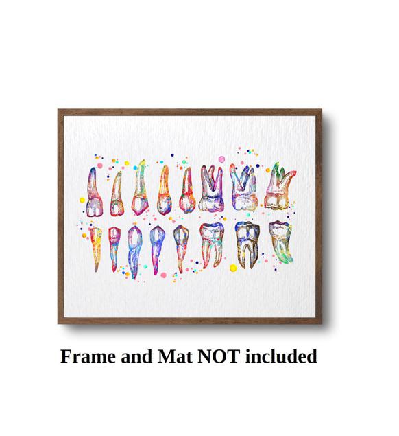Dignovel Studios Unframed Tooth Chart Illustration Dentist Office Dental Watercolor Art Print Wall Art Poster Home Decor Hanging DN858 - Image 3