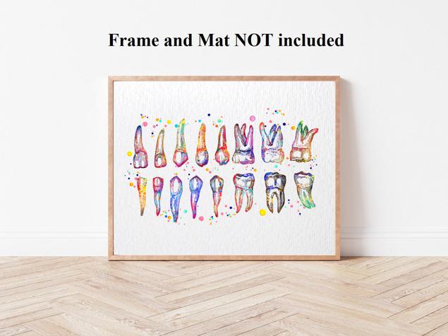 Dignovel Studios Unframed Tooth Chart Illustration Dentist Office Dental Watercolor Art Print Wall Art Poster Home Decor Hanging DN858 - Image 4