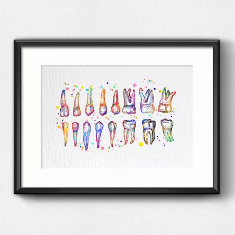 Dignovel Studios Unframed Tooth Chart Illustration Dentist Office Dental Watercolor Art Print Wall Art Poster Home Decor Hanging DN858 - Image 6