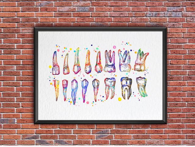 Dignovel Studios Unframed Tooth Chart Illustration Dentist Office Dental Watercolor Art Print Wall Art Poster Home Decor Hanging DN858 - Image 7