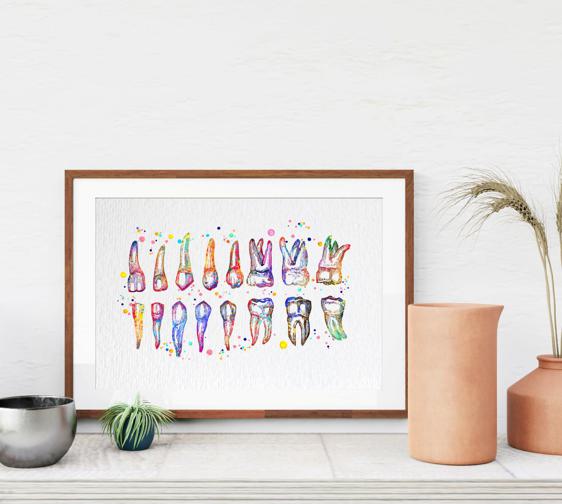Dignovel Studios Unframed Tooth Chart Illustration Dentist Office Dental Watercolor Art Print Wall Art Poster Home Decor Hanging DN858 - Image 8