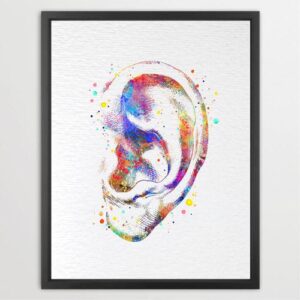 Dignovel Studios Unframed Ear Diagram Vintage Human Anatomy Medical Science Watercolor Art Print Wall Art Poster Home Decor Hanging DN871