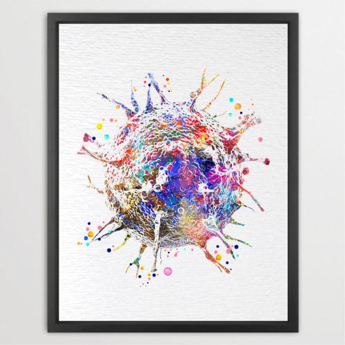 Dignovel Studios Unframed T-Cells Immune Cells Medical Art Science Histology Biology Oncology immunology Clinic Watercolor Art Print Wall Art Poster Home Decor Hanging DN887