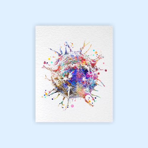 Dignovel Studios Unframed T-Cells Immune Cells Medical Art Science Histology Biology Oncology immunology Clinic Watercolor Art Print Wall Art Poster Home Decor Hanging DN887 - Image 2