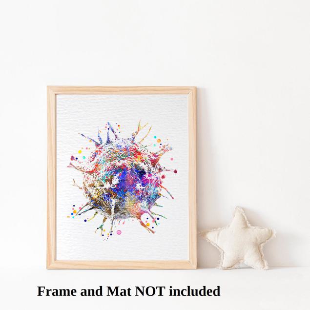 Dignovel Studios Unframed T-Cells Immune Cells Medical Art Science Histology Biology Oncology immunology Clinic Watercolor Art Print Wall Art Poster Home Decor Hanging DN887 - Image 3