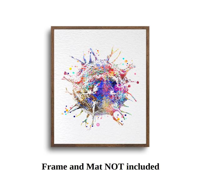 Dignovel Studios Unframed T-Cells Immune Cells Medical Art Science Histology Biology Oncology immunology Clinic Watercolor Art Print Wall Art Poster Home Decor Hanging DN887 - Image 5