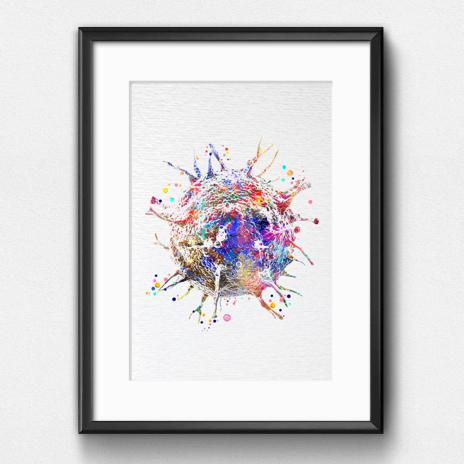 Dignovel Studios Unframed T-Cells Immune Cells Medical Art Science Histology Biology Oncology immunology Clinic Watercolor Art Print Wall Art Poster Home Decor Hanging DN887 - Image 6