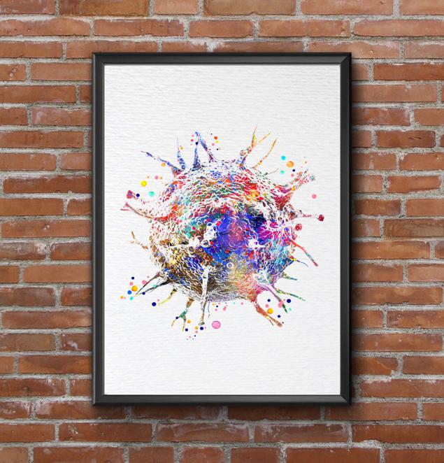 Dignovel Studios Unframed T-Cells Immune Cells Medical Art Science Histology Biology Oncology immunology Clinic Watercolor Art Print Wall Art Poster Home Decor Hanging DN887 - Image 7