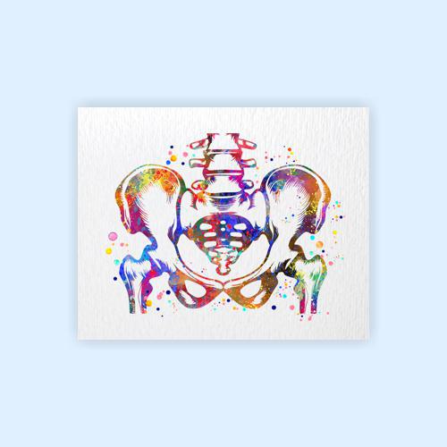 Dignovel Studios Unframed Pelvis and Vertebrae Sacrum Hip Anatomy Watercolor Art Print Orthopedic Skeletal System Spine Chiropractic Watercolor Art Print Wall Art Poster Home Decor Hanging DN888 - Image 2