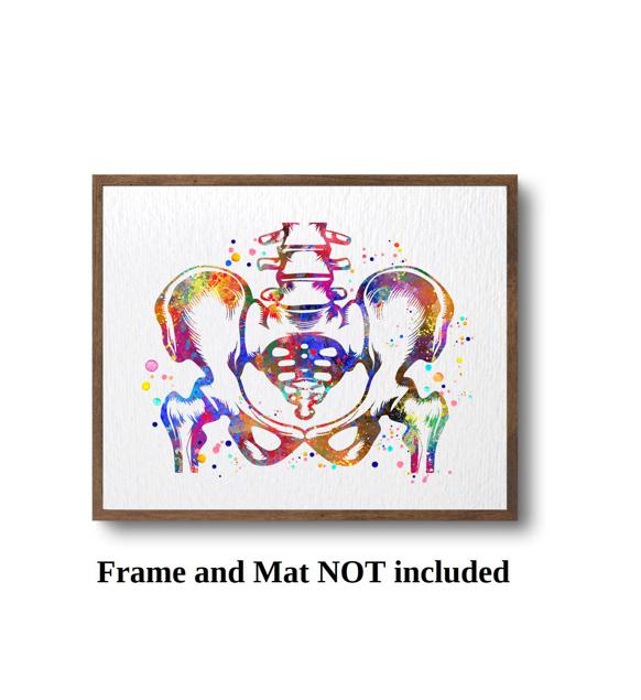 Dignovel Studios Unframed Pelvis and Vertebrae Sacrum Hip Anatomy Watercolor Art Print Orthopedic Skeletal System Spine Chiropractic Watercolor Art Print Wall Art Poster Home Decor Hanging DN888 - Image 3