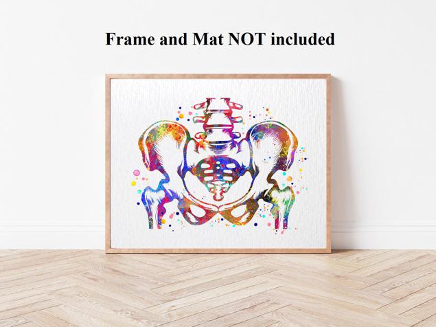 Dignovel Studios Unframed Pelvis and Vertebrae Sacrum Hip Anatomy Watercolor Art Print Orthopedic Skeletal System Spine Chiropractic Watercolor Art Print Wall Art Poster Home Decor Hanging DN888 - Image 4