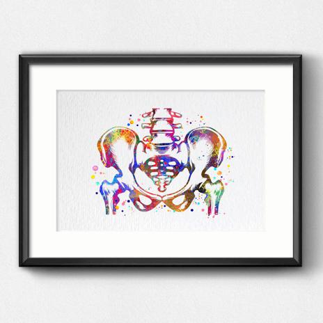 Dignovel Studios Unframed Pelvis and Vertebrae Sacrum Hip Anatomy Watercolor Art Print Orthopedic Skeletal System Spine Chiropractic Watercolor Art Print Wall Art Poster Home Decor Hanging DN888 - Image 6