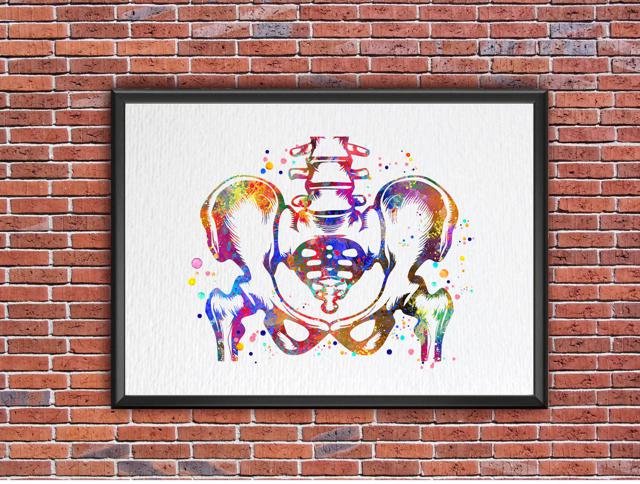 Dignovel Studios Unframed Pelvis and Vertebrae Sacrum Hip Anatomy Watercolor Art Print Orthopedic Skeletal System Spine Chiropractic Watercolor Art Print Wall Art Poster Home Decor Hanging DN888 - Image 7