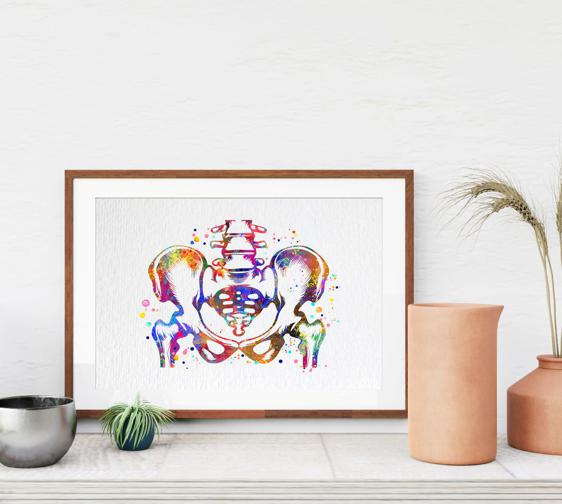Dignovel Studios Unframed Pelvis and Vertebrae Sacrum Hip Anatomy Watercolor Art Print Orthopedic Skeletal System Spine Chiropractic Watercolor Art Print Wall Art Poster Home Decor Hanging DN888 - Image 8