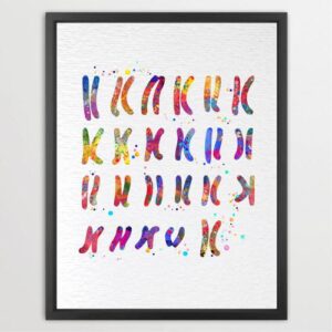 Dignovel Studios Unframed Female Chromosome Illustration Diagram Watercolor Art Print Medical Education Wall Art Science Genetic Watercolor Art Print Wall Art Poster Home Decor Hanging DN913