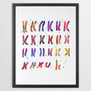 Dignovel Studios Unframed Male Chromosome Illustration Diagram Watercolor Art Print Medical Education Wall Art Science Genetic Watercolor Art Print Wall Art Poster Home Decor Hanging DN914