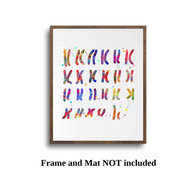 Dignovel Studios Unframed Male Chromosome Illustration Diagram Watercolor Art Print Medical Education Wall Art Science Genetic Watercolor Art Print Wall Art Poster Home Decor Hanging DN914 - Image 5