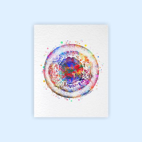 Dignovel Studios Unframed Iris Eye Anatomy Watercolor Art Print Human Eye Vision Optometrist Poster Medical Art Ophthalmology Watercolor Art Print Wall Art Poster Home Decor Hanging DN919 - Image 2