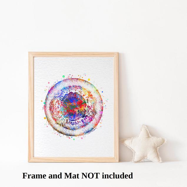 Dignovel Studios Unframed Iris Eye Anatomy Watercolor Art Print Human Eye Vision Optometrist Poster Medical Art Ophthalmology Watercolor Art Print Wall Art Poster Home Decor Hanging DN919 - Image 3