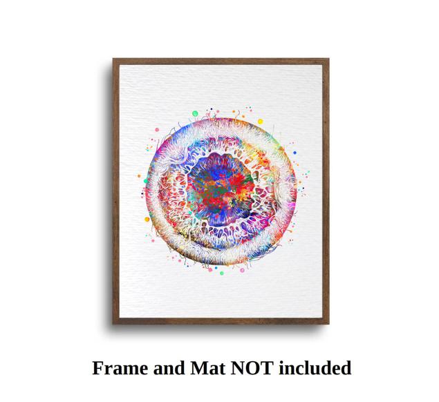 Dignovel Studios Unframed Iris Eye Anatomy Watercolor Art Print Human Eye Vision Optometrist Poster Medical Art Ophthalmology Watercolor Art Print Wall Art Poster Home Decor Hanging DN919 - Image 5