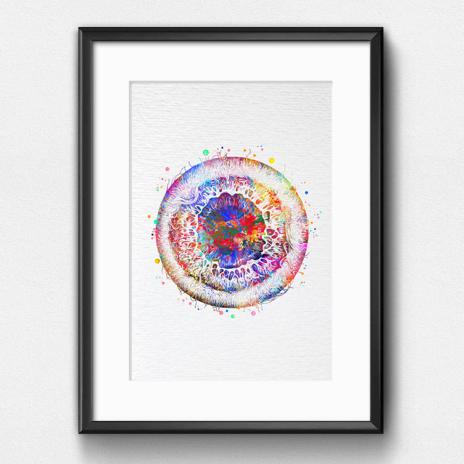 Dignovel Studios Unframed Iris Eye Anatomy Watercolor Art Print Human Eye Vision Optometrist Poster Medical Art Ophthalmology Watercolor Art Print Wall Art Poster Home Decor Hanging DN919 - Image 6
