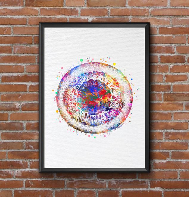 Dignovel Studios Unframed Iris Eye Anatomy Watercolor Art Print Human Eye Vision Optometrist Poster Medical Art Ophthalmology Watercolor Art Print Wall Art Poster Home Decor Hanging DN919 - Image 7