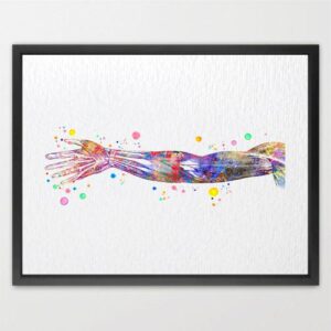 Dignovel Studios Unframed Arm Muscle Diagram Human Anatomy Watercolor Art Print Medical Science Art Orthopedic Watercolor Art Print Wall Art Poster Home Decor Hanging DN921