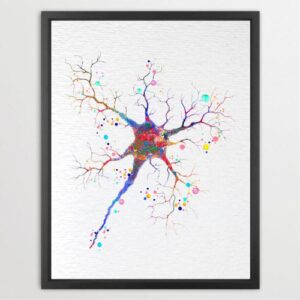 Dignovel Studios Unframed Neuron Structure Illustration Watercolor Art Print Cell Neurology Medical Science Art Clinic Wall Art Watercolor Art Print Wall Art Poster Home Decor Hanging DN927