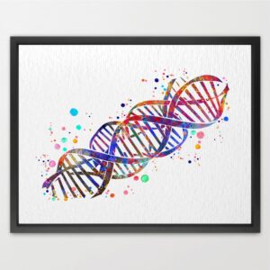 Dignovel Studios Unframed DNA Watercolor Art Print Poster Medical Science Genetics Classroom Illustration Office Home Home Hanging DN1029