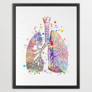 Dignovel Studios Unframed Lung Anatomy Illustration Watercolor Art Print Medical Science Doctor Classroom Office Home Home Hanging DN1032